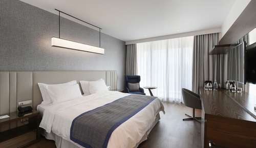 Executive Room, City View (7th or 8th floor)