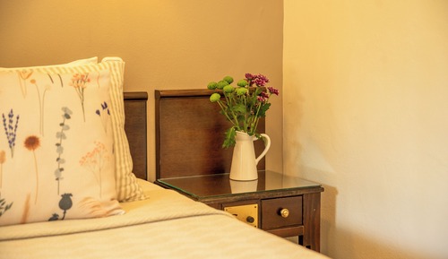 Economy Double or Twin Room