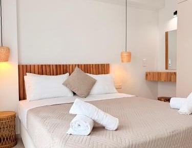 Deluxe One-Bedroom Apartment