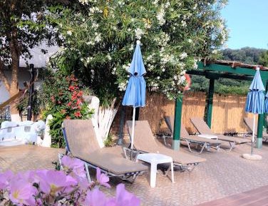 Double Room with Pool View