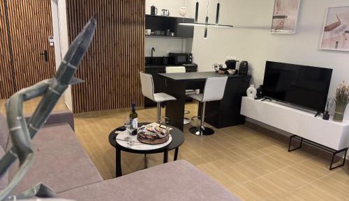 One-Bedroom Deluxe Apartment