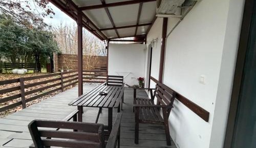 Suite with Garden View
