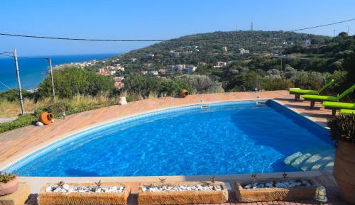 One-Bedroom Apartment with Pool View