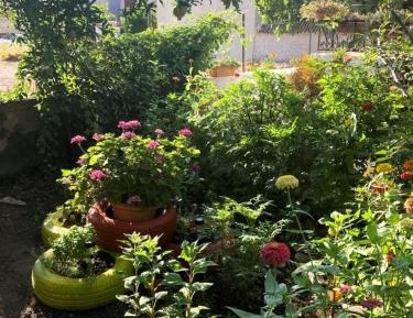 Deluxe One-Bedroom Apartment with Garden View