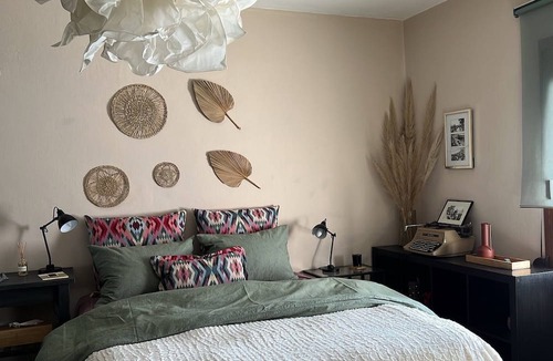 Drama House | Mosquito Guest House 2