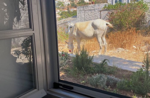 idhra Apartment | Cozy apartment for small family 2 minutes from Castello Baby Beach