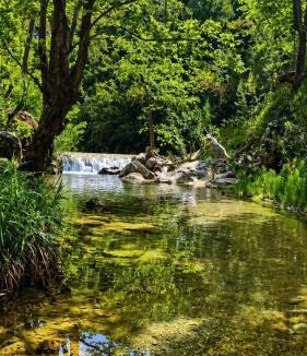 Oropos Apartment | EuZoea Country Home 2 Nature Escape with Pool