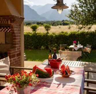Litochoro Villa | Οlives and Vines Retreat Villa