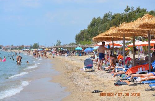 Paralia Dionysiou Apartment | Apartments Dimitra