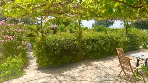 Agios Matthaios Apartment | TETRAKTYS ESTATE beachside seaview ΥΔΩΡ with big garden
