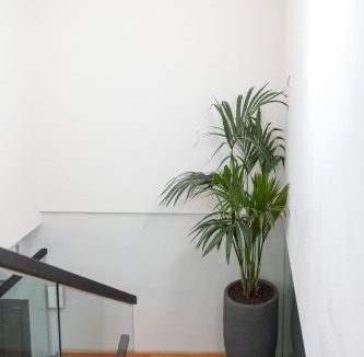 Potamos House | Greenery Luxury Apartment