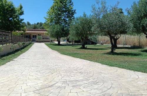 Nikita House | Fish eye