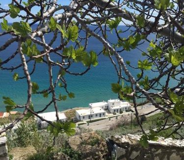 Skyros Town Apartment | Antigoni