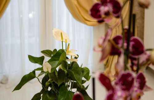 Mets Apartment | Athens Crystal Parthenon
