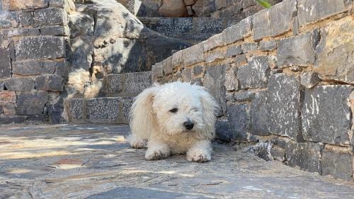 Mavrikiano Apartment | Charming Mediterranean Apartment Elounda AC WiFi