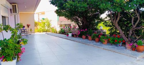Lefkakia Apartment | Sofia's Guest House