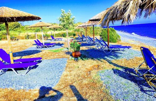 Ano Kariotes Apartment | Asprovalta Rooms