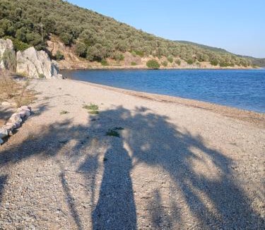 Mytilene Apartment | lianas house