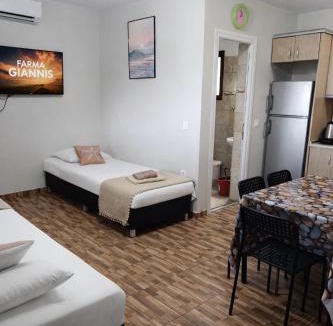 Sarti Apartment | Farma Giannis