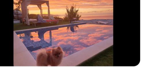 Achlia Villa | ocean Island villa Achlia
