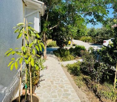 Pylos-Nestoras House | Antheia