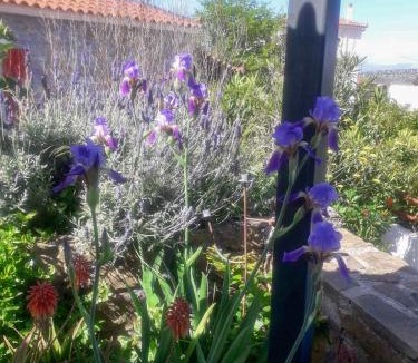 Agios Adrianos Apartment | Anassa's Apartment - Άνασσα Διαμέρισμα