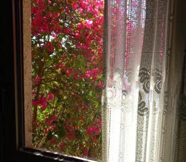 Kardamyli Apartment | Ifigenia's Rooms