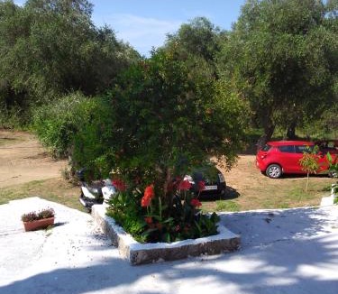 Dassia Apartment | Artemis Apartments (Yiannis House)