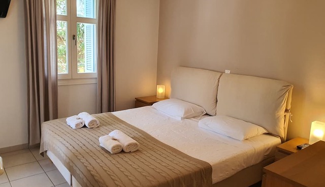 Karaoulanis apartments in Andros