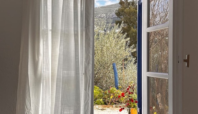 Jasmine of Cyclades in Syros