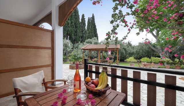 Vergonis Studios in South Pelion