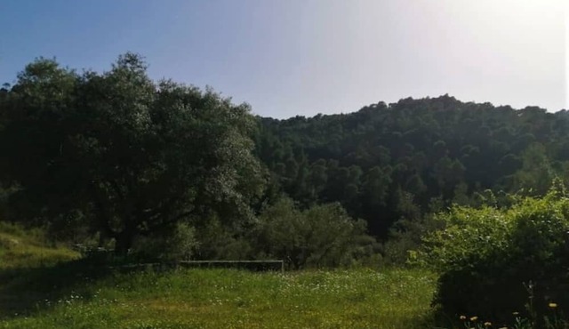 wood & stone dream view house A in Fteroti