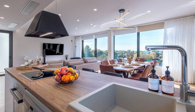 1 Riviera Escape Penthouse with Full Sea View in Voula