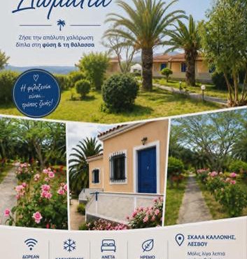 Anna Daniil Oasis Studios Skala Kallonis in Skala Kallonis