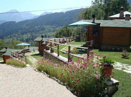 Wild Life Chalets in Rafína