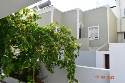 Rooms By Lignou in Fira