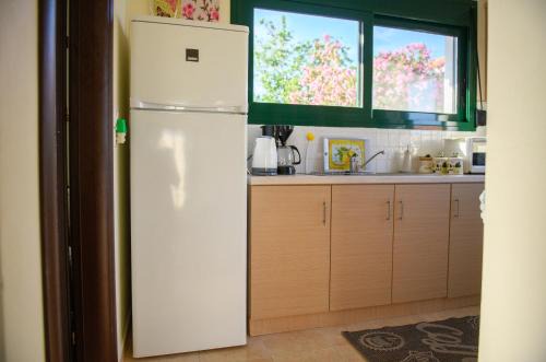 Iris apartment 1 in Anaxos