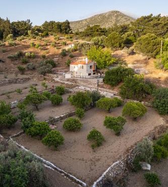 Mulberry Cottage in Samos