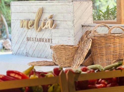 Karidi Beach Gaia Retreat in Vourvourou