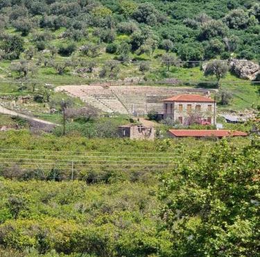 Booklou Apartment in Ancient Epidauros