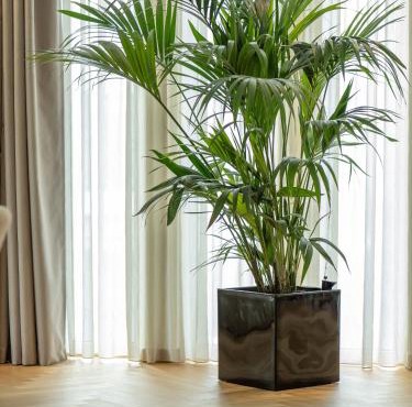 The Samirah Luxury Residences in Elliniko in Athens