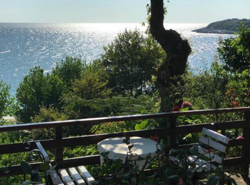 Apartments Zoe in Agios Ioannis Pelio
