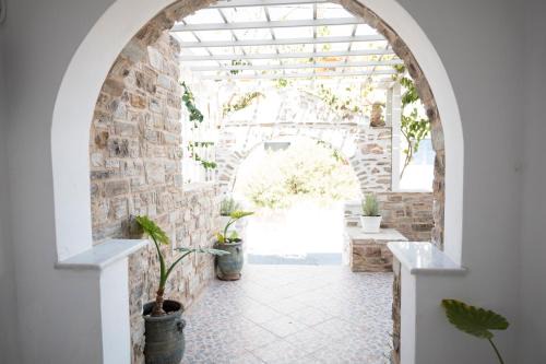 Asteras in Antiparos